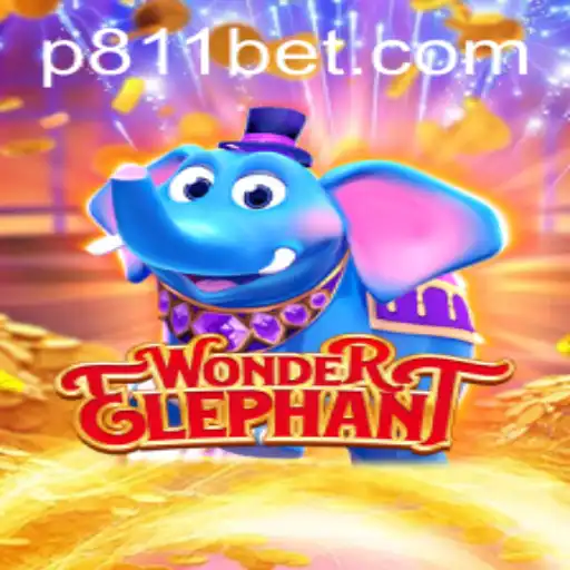 Exploring the World of WonderElephant and 811bet